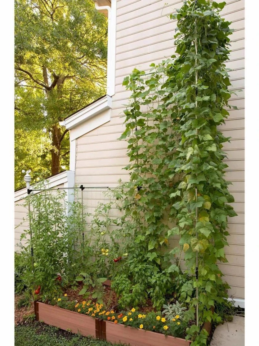 Plant Supports * | Stack & Extend Veggie Wall