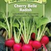 Seeds * | Cherry Belle Radish Organic Seeds