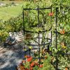 Plant Supports * | Titan Tomato Cages, Set Of 3