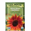 Seeds * | Velvet Queen Sunflower Organic Seeds