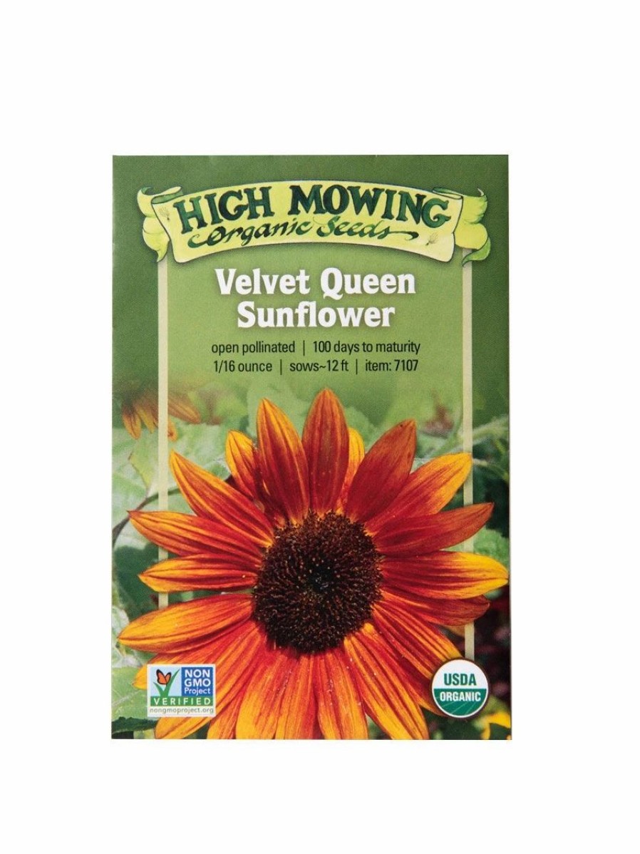 Seeds * | Velvet Queen Sunflower Organic Seeds