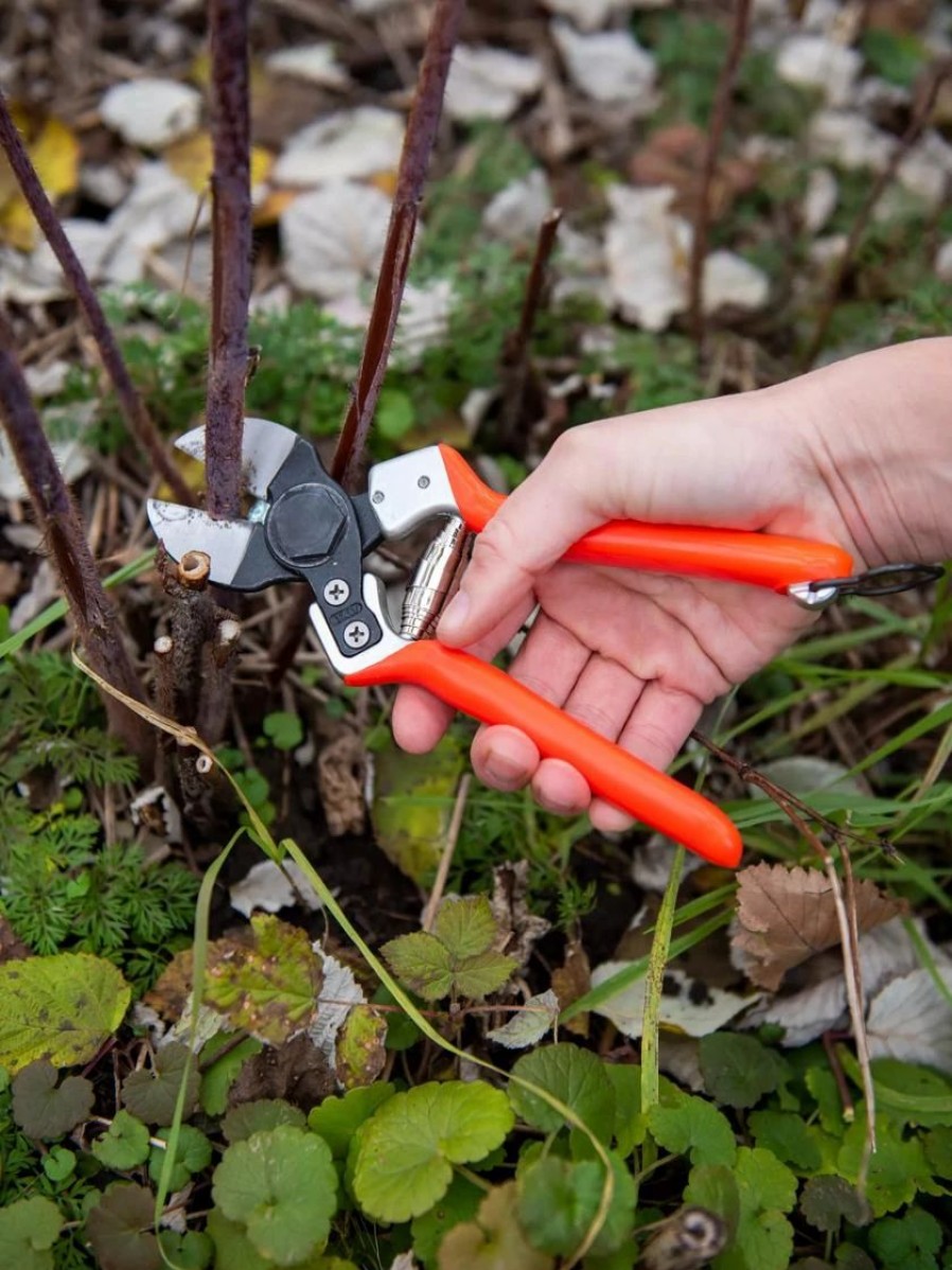 Garden Tools * | Castellari B12 Double-Blade Pruner