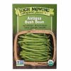 Seeds * | Antigua Bush Bean Organic Seeds