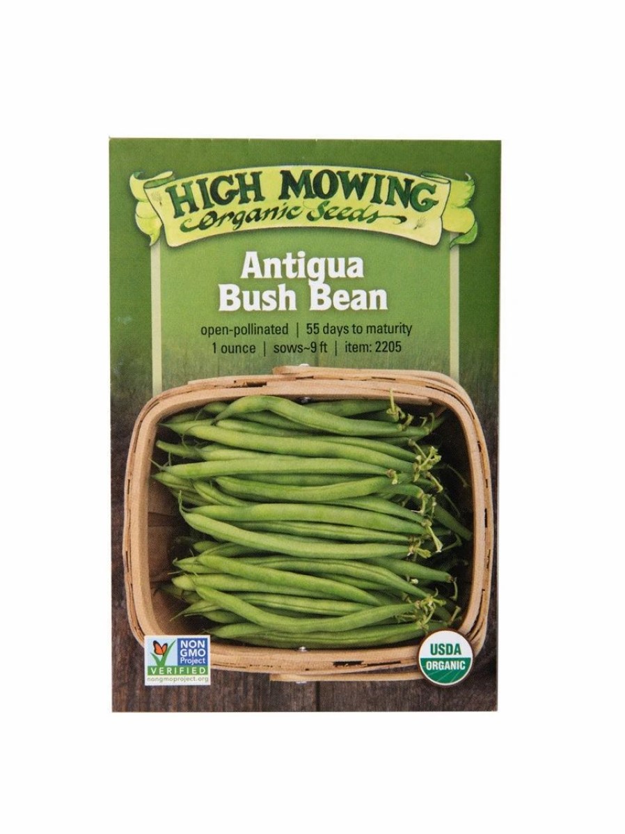 Seeds * | Antigua Bush Bean Organic Seeds