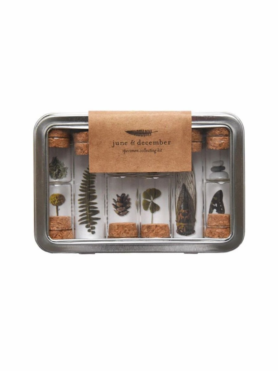 Garden Tools * | Botanical Specimen Collecting Kit