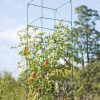 Plant Supports * | Mammoth Tomato Towers, Set Of 2 Green