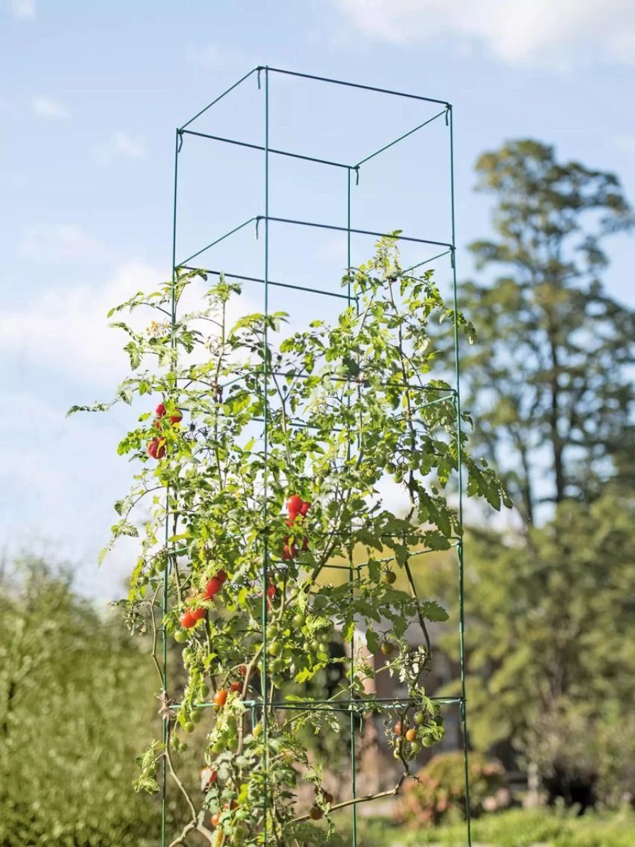 Plant Supports * | Mammoth Tomato Towers, Set Of 2 Green