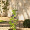 Plant Supports * | Jardin Pot Trellis