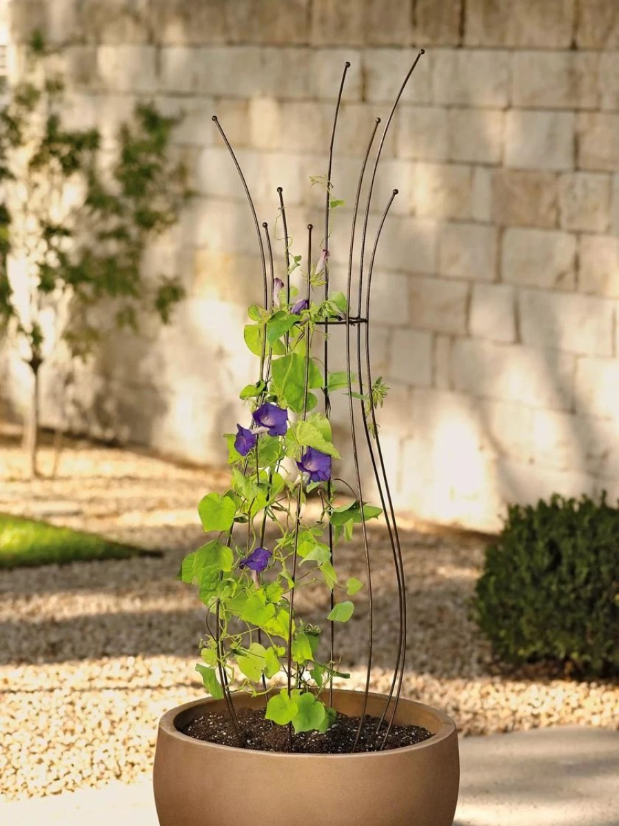 Plant Supports * | Jardin Pot Trellis