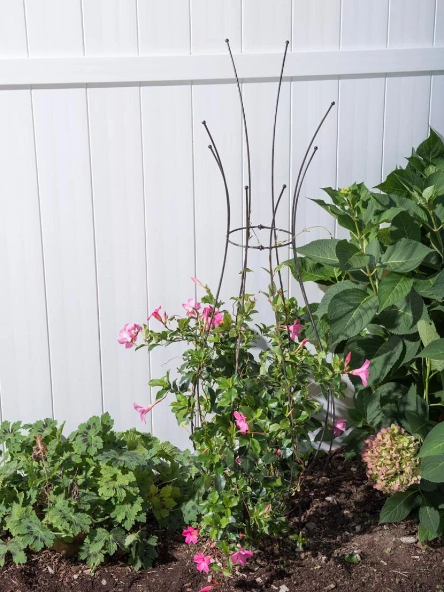 Plant Supports * | Jardin Pot Trellis