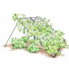 Plant Supports * | Large Cucumber Trellis