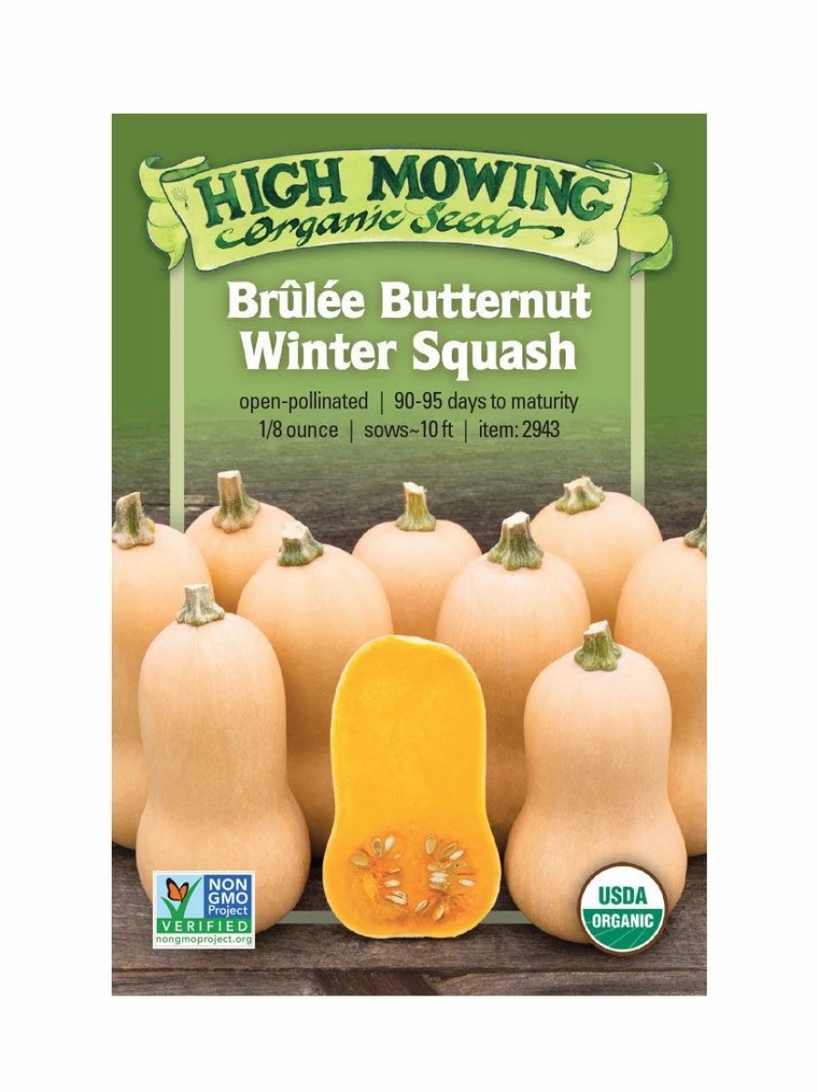 Seeds * | Brulee Butternut Squash Organic Seeds