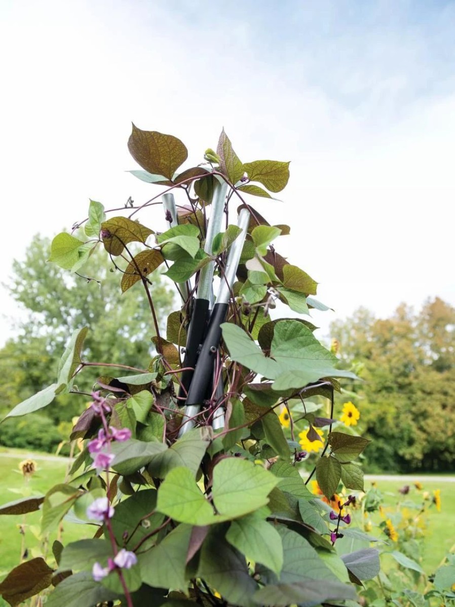 Plant Supports * | Diy Connector For Teepee Trellis