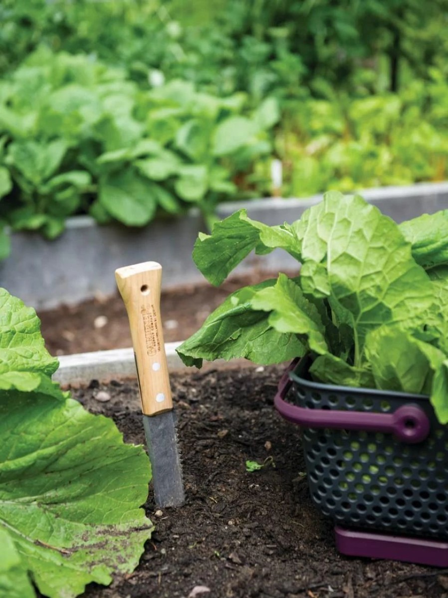 Garden Tools * | Gardener'S Lifetime Hori Hori Knife