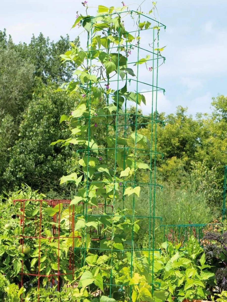 Plant Supports * | Bean Tower