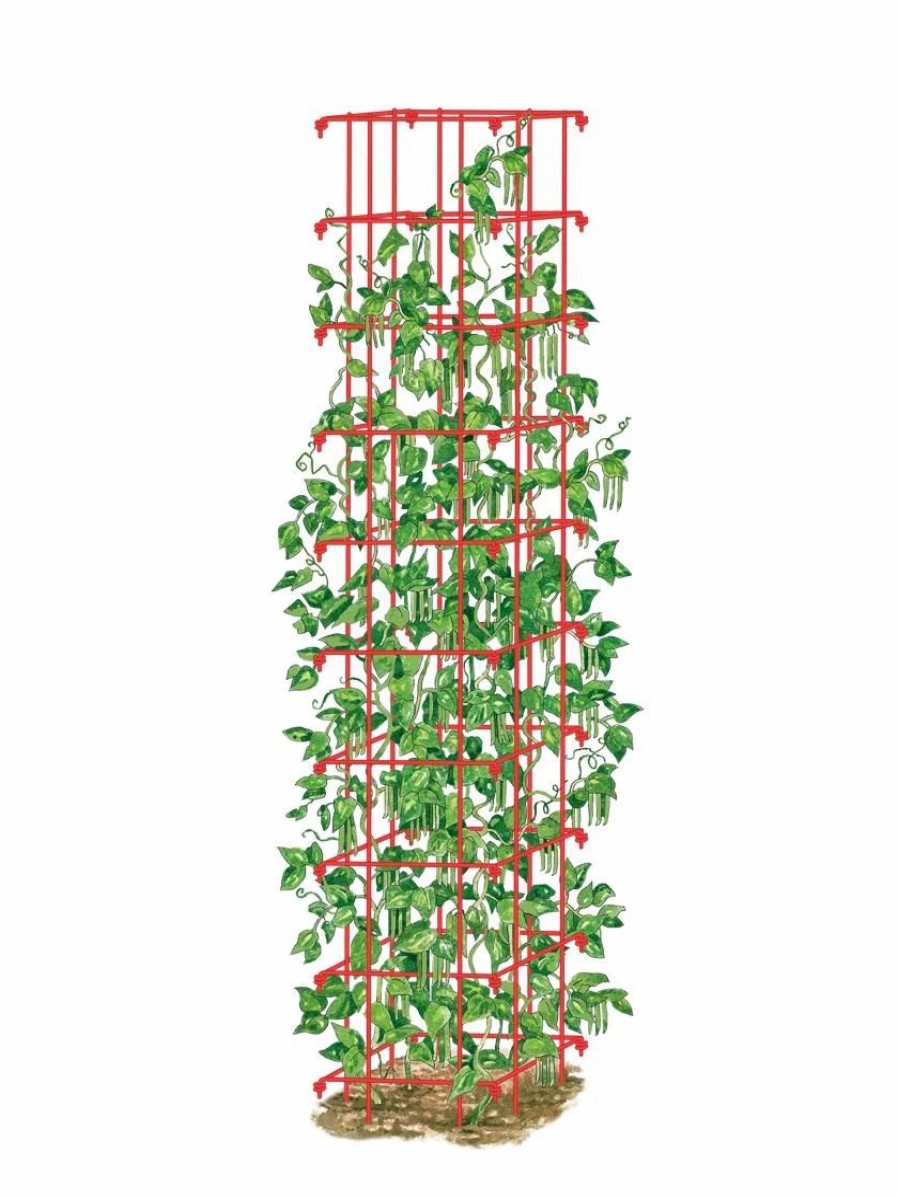 Plant Supports * | Bean Tower