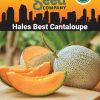 Seeds * | Hales Best Cantaloupe Organic Seeds