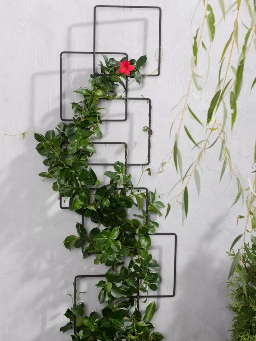 Plant Supports * | Building Blocks Wall Trellis, 45