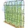 Plant Supports * | Titan Pea Tunnel