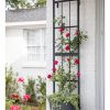 Plant Supports * | Essex Wall Trellis