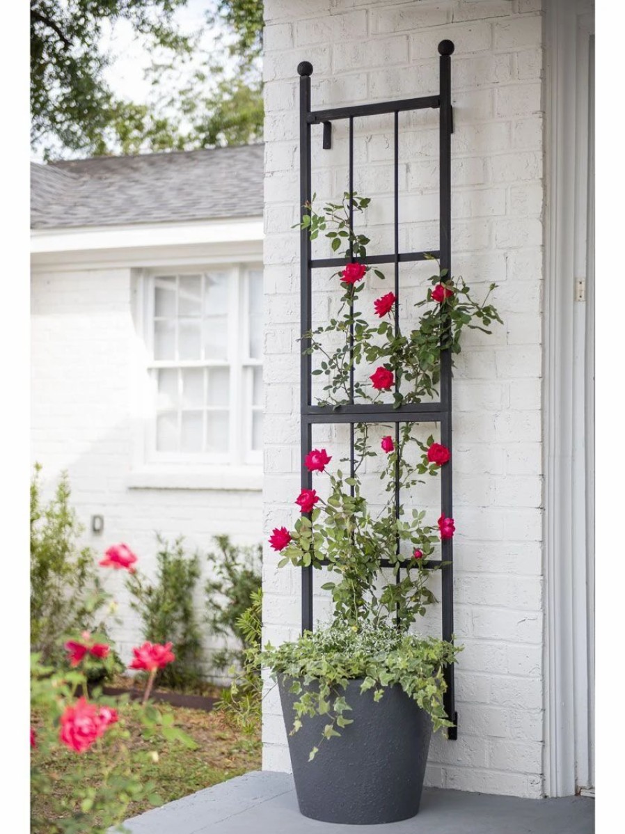 Plant Supports * | Essex Wall Trellis