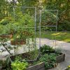 Plant Supports * | Chicken Wire Pea Trellis