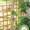 Plant Supports * | Bamboo Zig-Zag Trellis 24 X 36