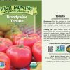 Seeds * | Brandywine Tomato Organic Seeds