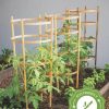 Plant Supports * | Bamboo Tomato Cages, Set Of 3