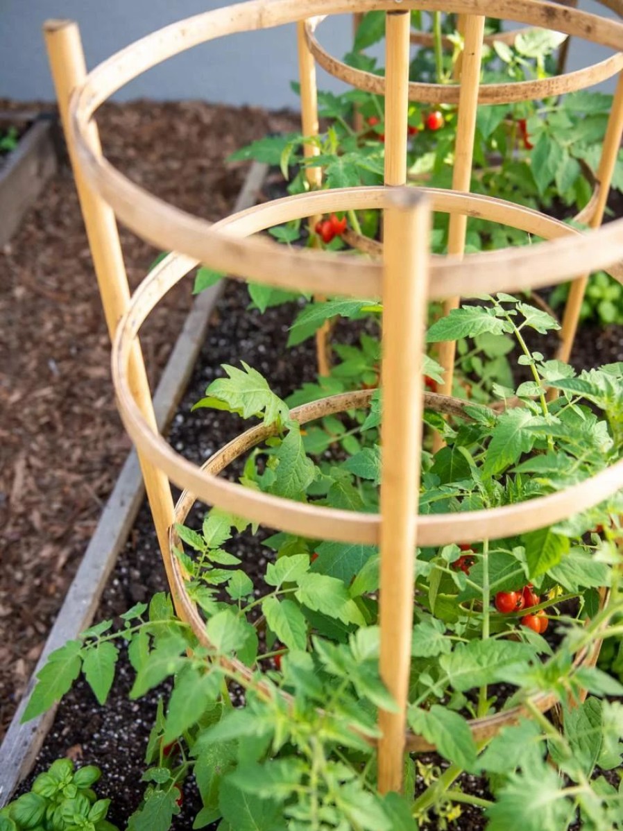 Plant Supports * | Bamboo Tomato Cages, Set Of 3