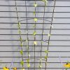 Plant Supports * | Flock Of Friends Wall Trellis