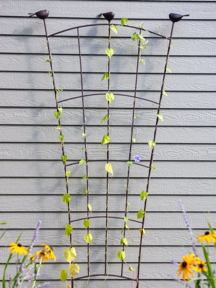 Plant Supports * | Flock Of Friends Wall Trellis