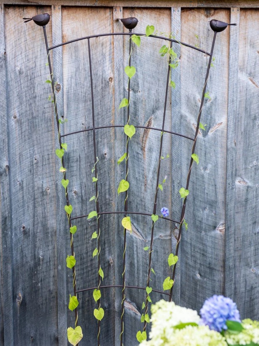 Plant Supports * | Flock Of Friends Wall Trellis