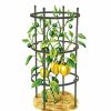 Plant Supports * | Titan Pepper Eggplant Cages, Set Of 3