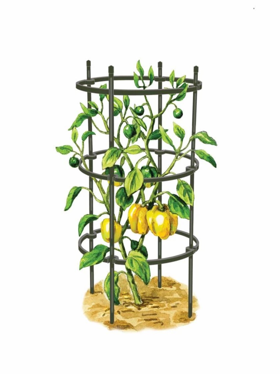 Plant Supports * | Titan Pepper Eggplant Cages, Set Of 3