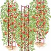 Plant Supports * | Tomato Ladders, Set Of 3