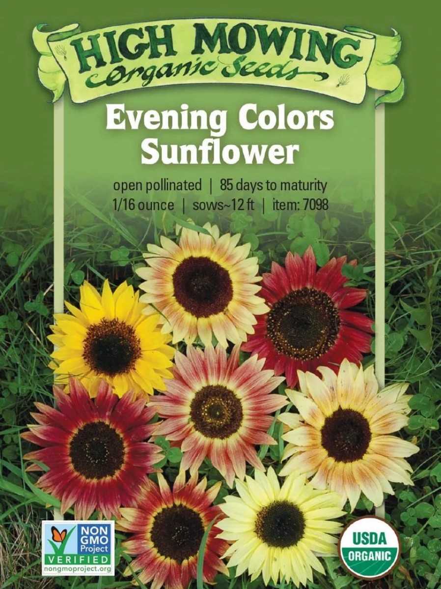 Seeds * | Evening Colors Sunflower Organic Seeds