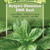 Seeds * | Rutgers Obsession Basil Organic Seeds