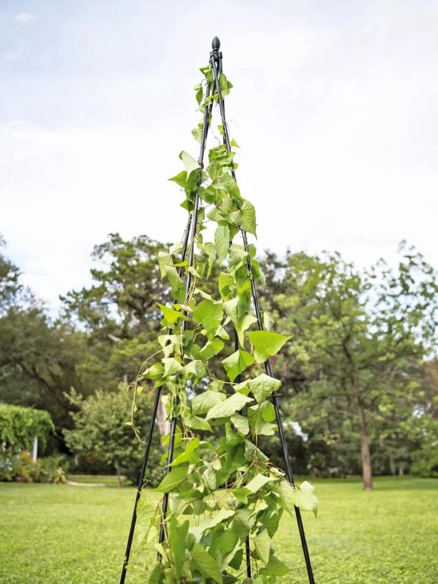 Plant Supports * | Titan Teepee Trellis