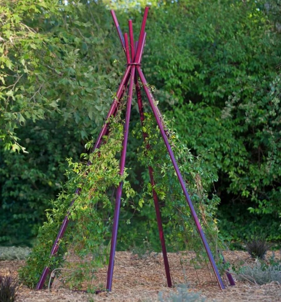 Plant Supports * | Annabel Tipi Trellis