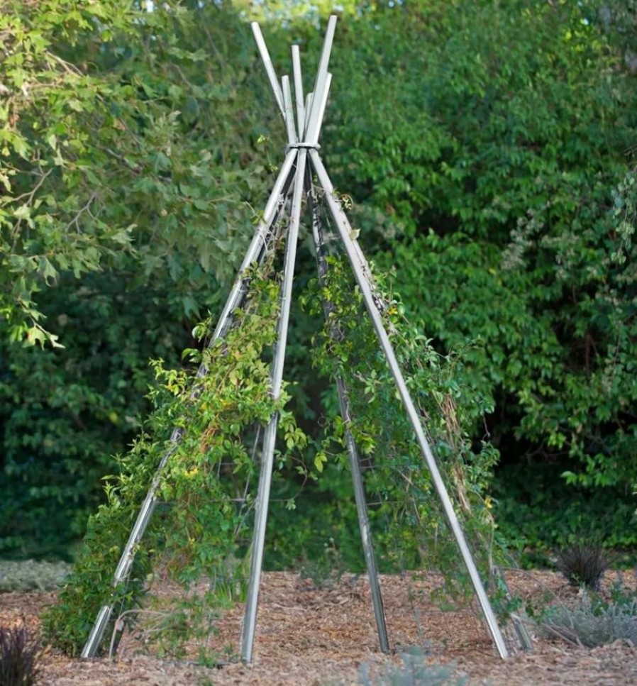 Plant Supports * | Annabel Tipi Trellis