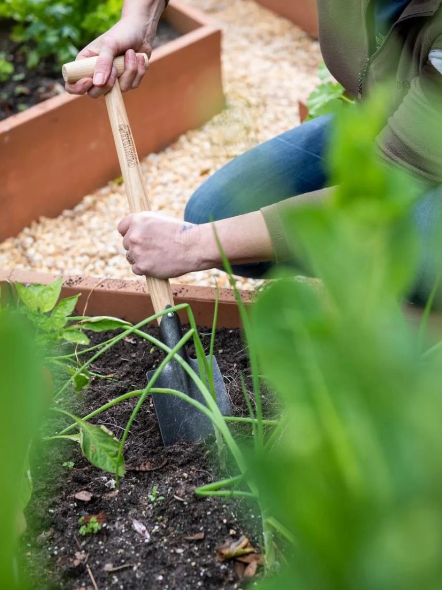 Garden Tools * | Gardener'S Lifetime Perennial Spade With Short T-Handle