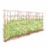 Plant Supports * | Expandable Pea Trellis