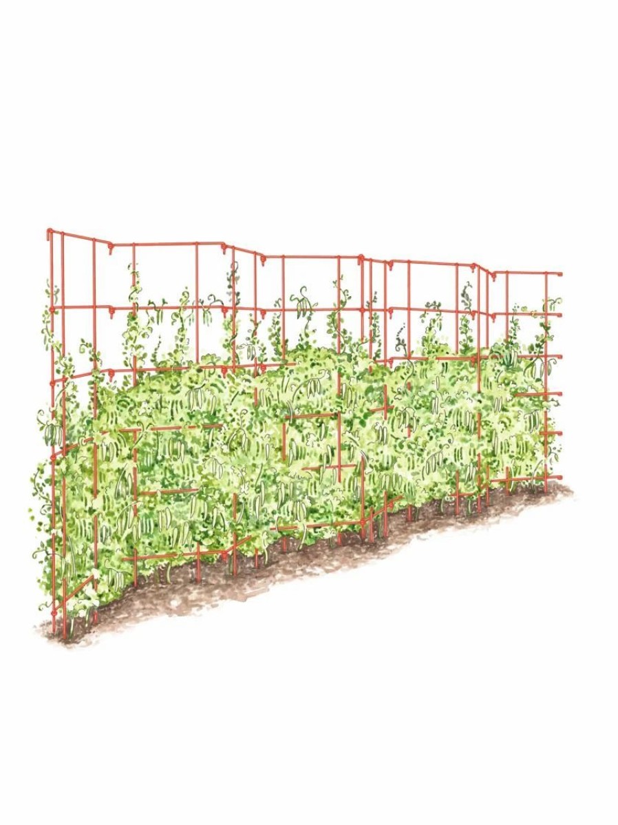 Plant Supports * | Expandable Pea Trellis