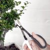 Garden Tools * | Japanese Pruning Scisssors