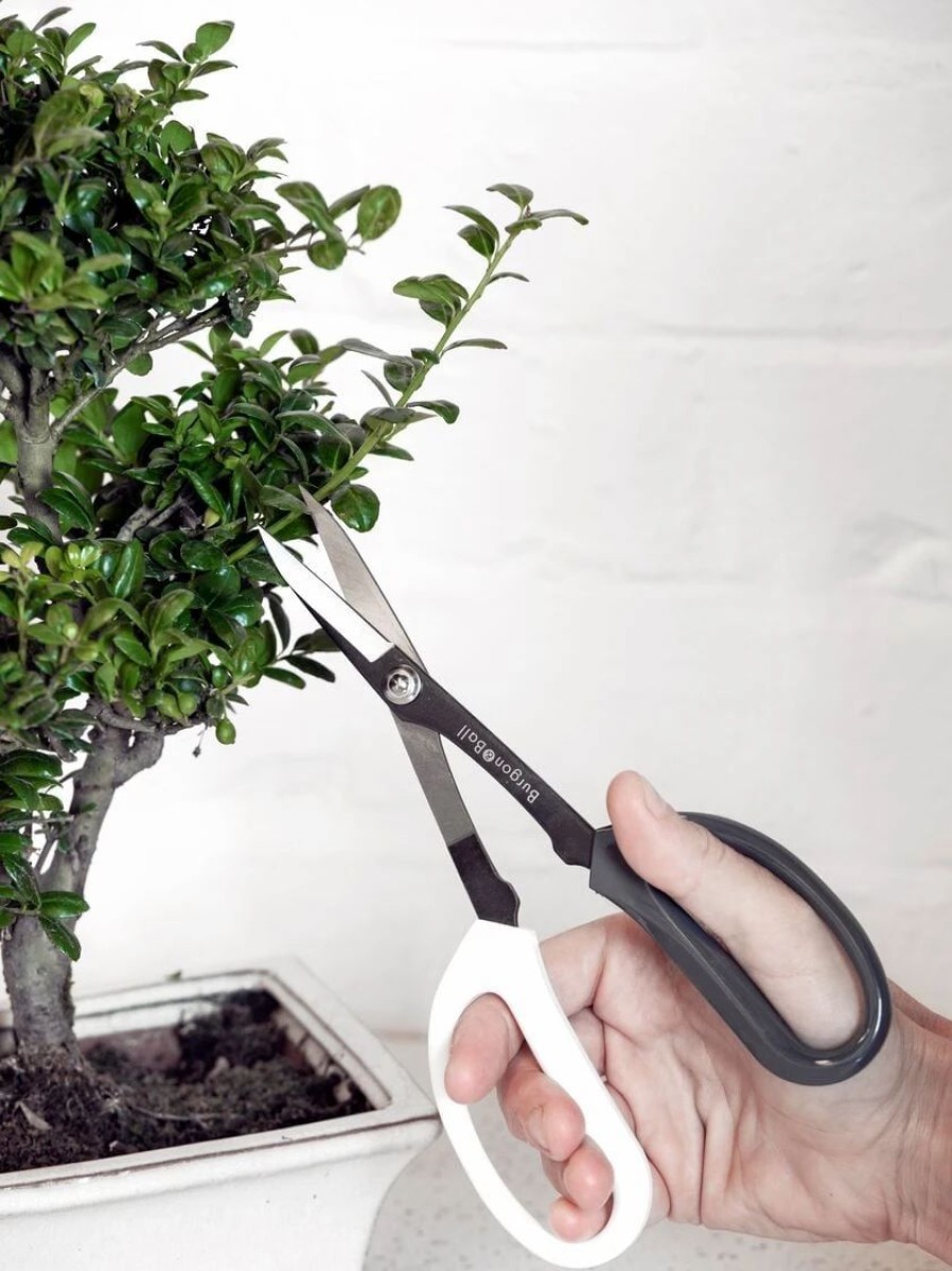 Garden Tools * | Japanese Pruning Scisssors