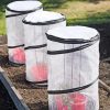 Plant Supports * | Tomato Tlc Kits, Set Of 3