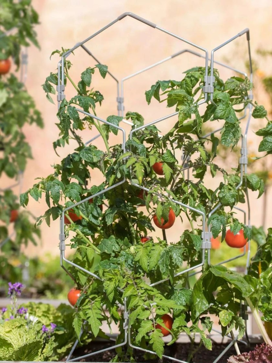 Plant Supports * | Gardener'S Vertex Lifetime Tomato Cage Natural Aluminum