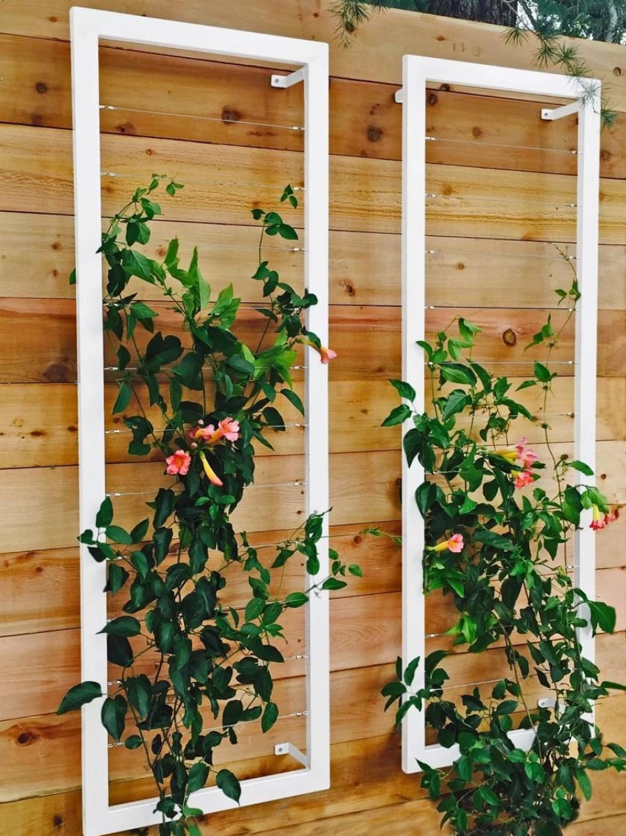 Plant Supports * | Ina Modern Wall Trellis Sr.