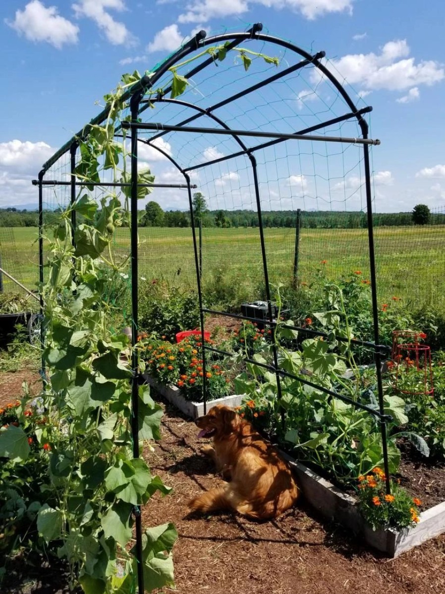 Plant Supports * | Titan Squash Tunnel